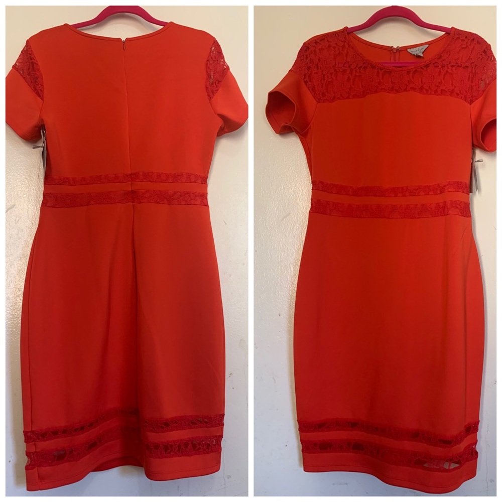 BELLE & SKY High Risk Red Dress